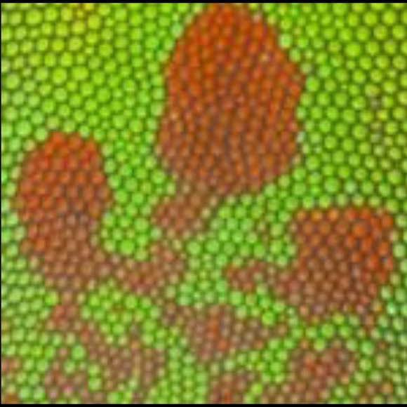 Meet your Posher, Kenneth - Picture 1 of 1